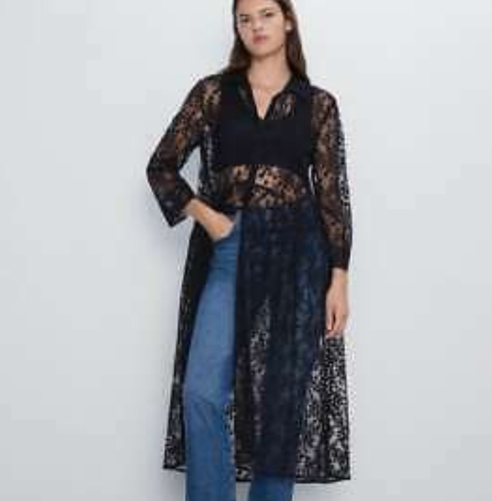 Zara semi-sheer dress